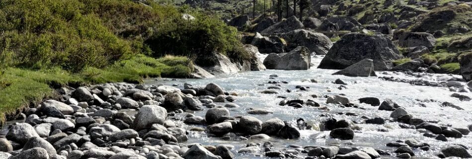 Discover the Top Hill Stations in Uttarakhand for Your Perfect Summer Vacation.